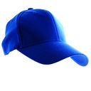 HAT263ROYAL.jpg