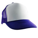 HAT266PURPLE.jpg