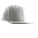 HAT269-800.jpg